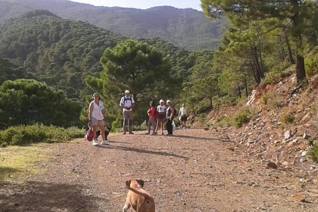 Playa Escollera Lägenhet Estepona Exteriör bild